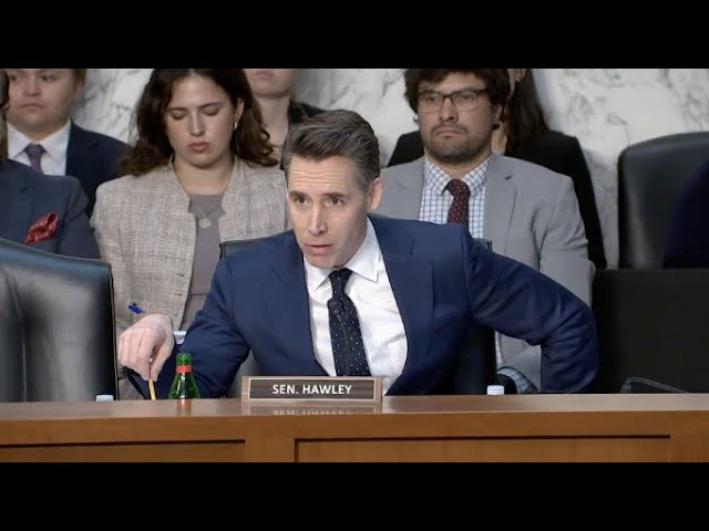 Hawley Calls Out Boeing CEO For Prioritizing Profit Over People: 'You're The Problem'