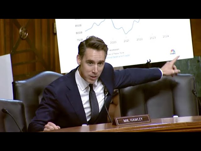 Hawley Calls Out Credit Card Companies For Killing